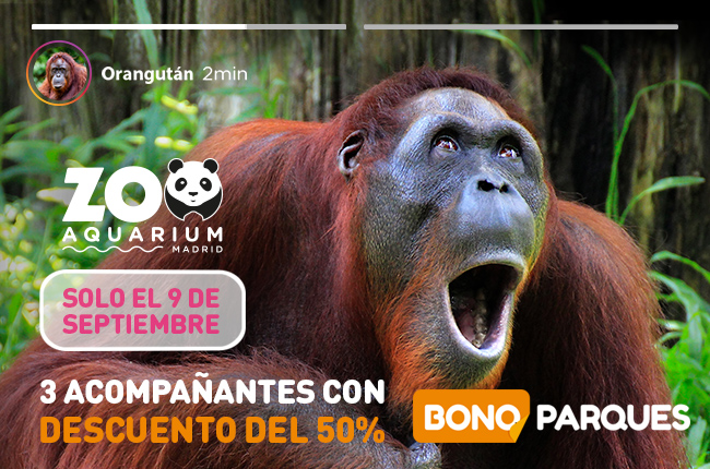 Descuento para acompañantes en Zoo de Madrid