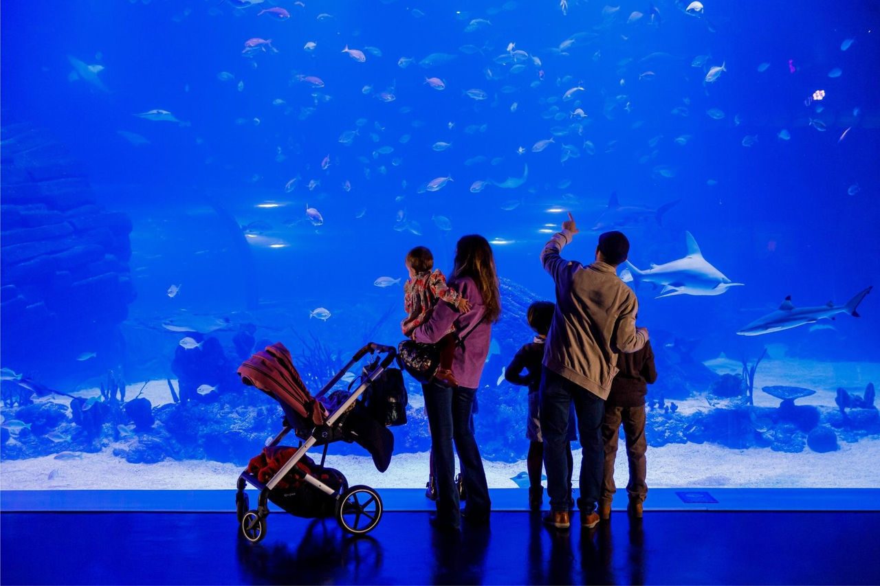familia visitando acuario