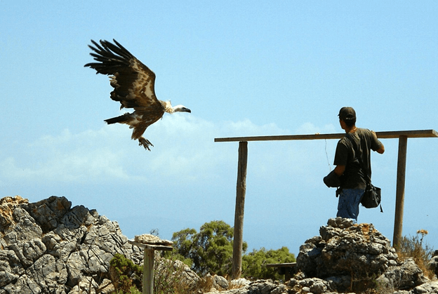 Jardín de las Águilas en Benalmádena