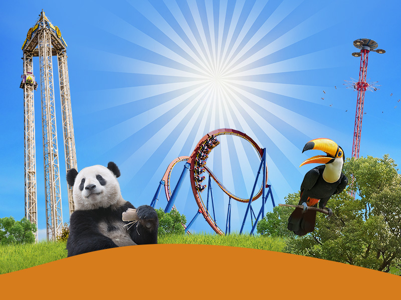 Elegir Bonos Bono Parques