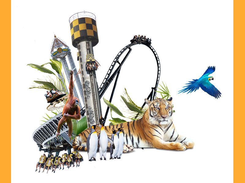 Bono Parques 2024 preventa 35% descuento