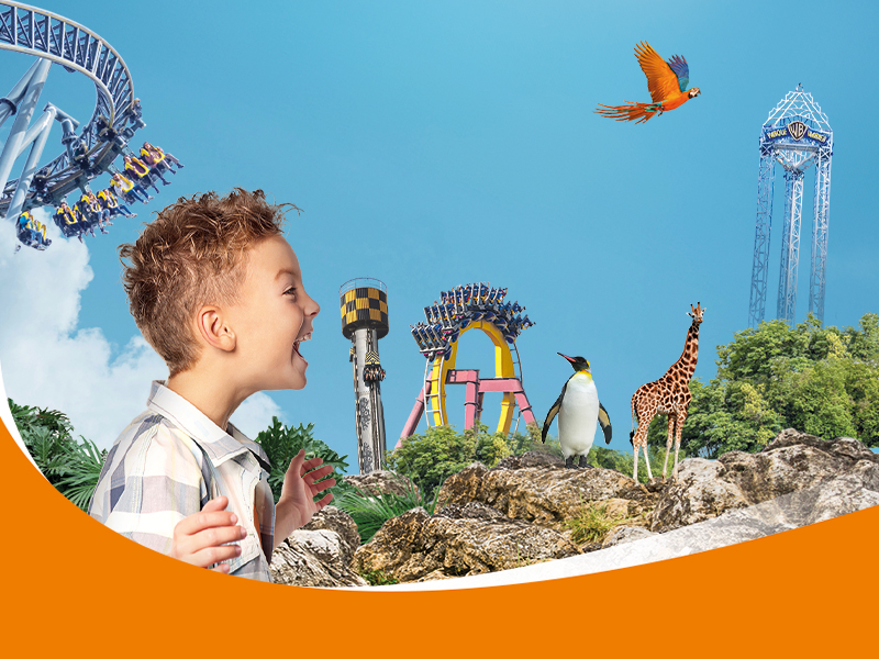 Bono Parques Oro Plus Empresas