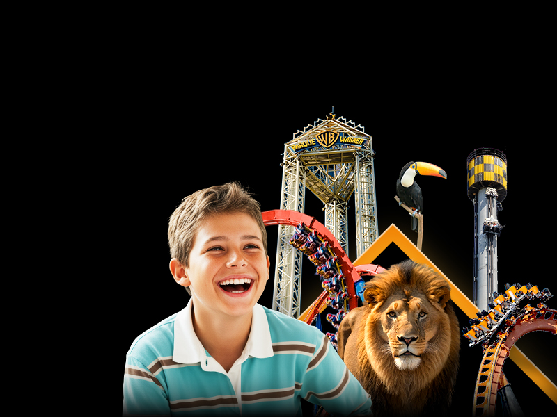 Bono Parques BF 2025