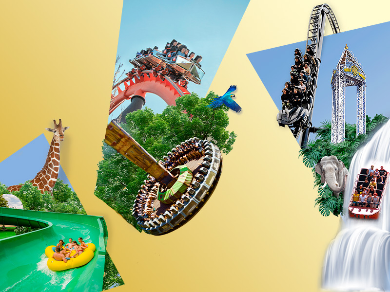 50% de descuento en Bono Oro