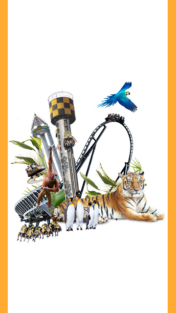 Bono Parques 2024