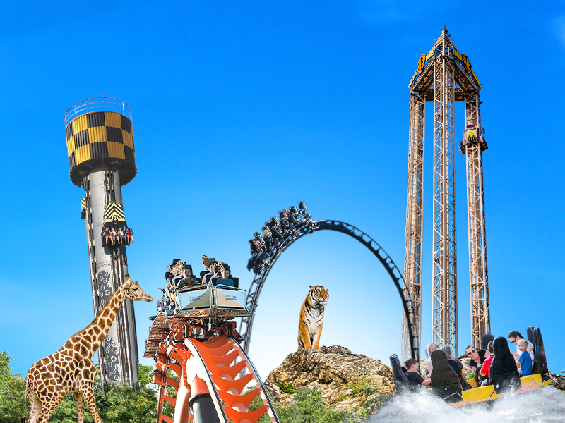 Promoción 40% dto. Bono Parques Oro