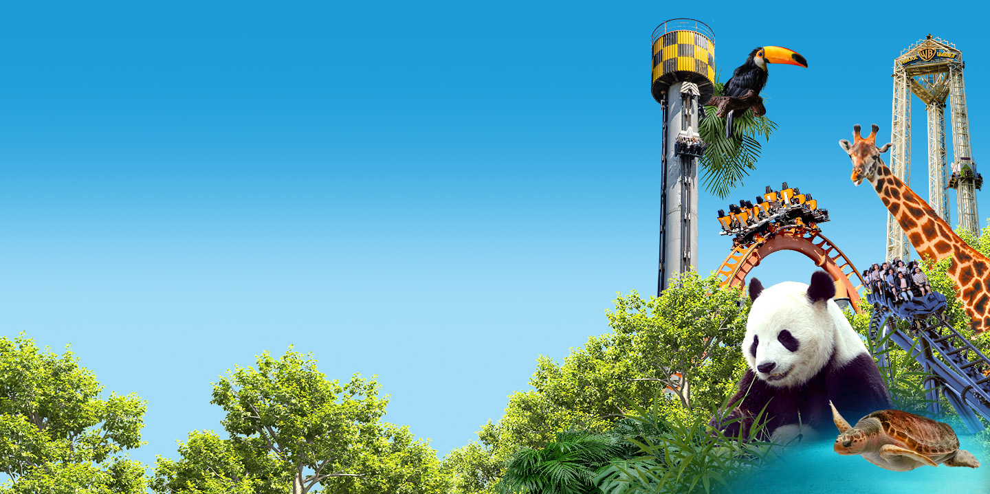 Bono Parques