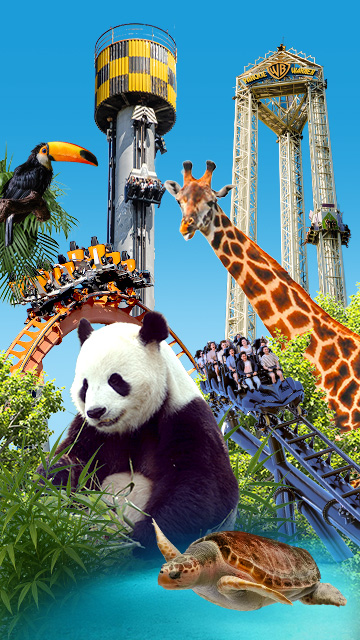 Bono Parques