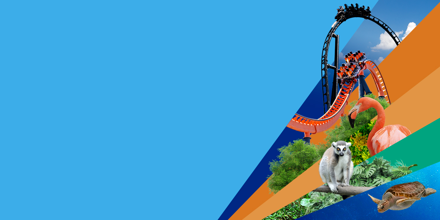 Bono Parques