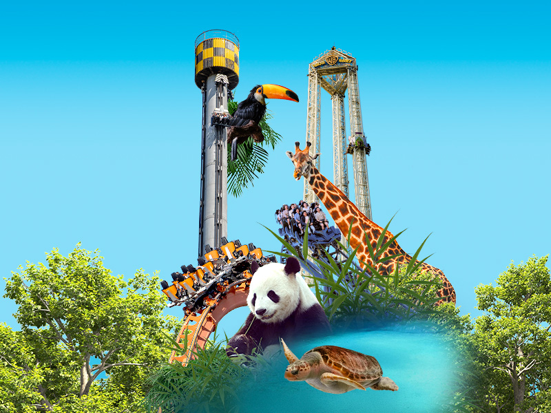 Bono Parques Oro Plus Empresas