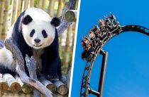 Bono Parques Bronce PAM + ZOO